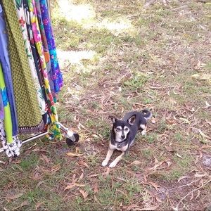  PLEASE READ FOR IMPORTANT SHOP INFO. 